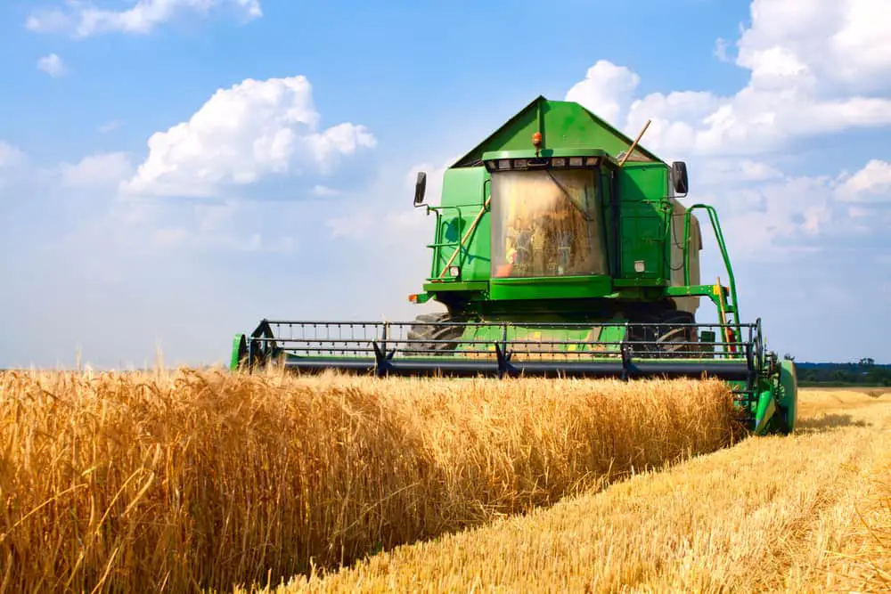 wheat farming harvester