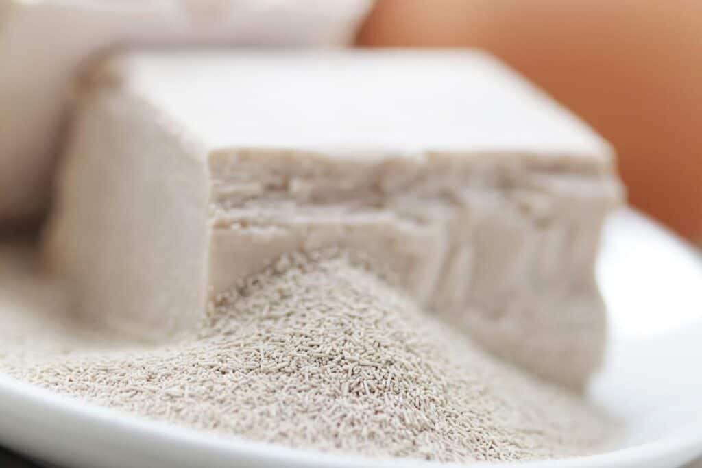 What Is The Difference Between Cake Yeast And Dry Yeast?