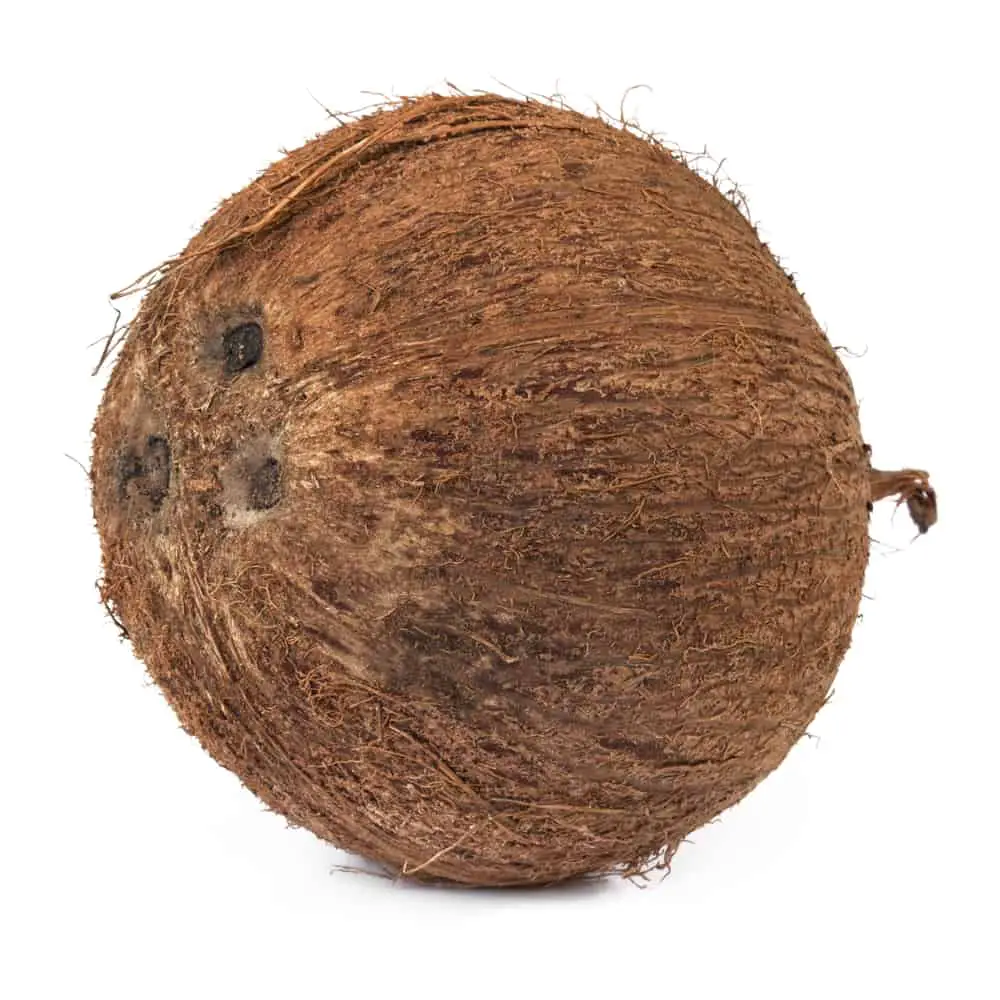 fresh unopened coconut
