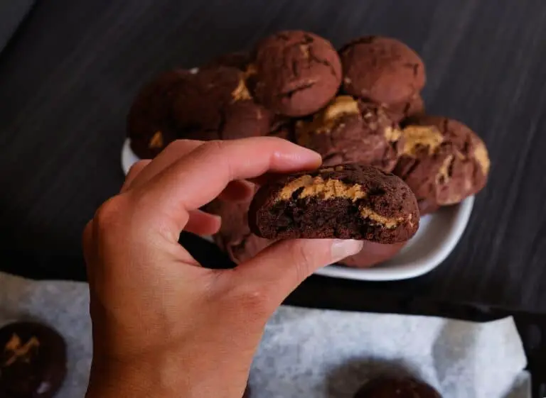 Hand-holding-fluffy-thick-chocolate-cookie