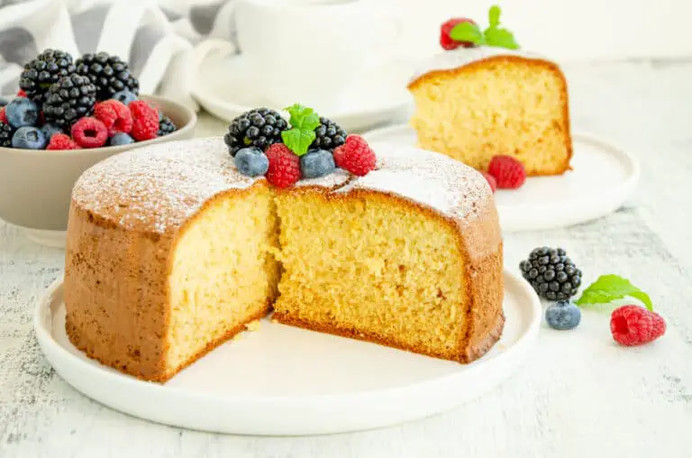Homemade-classic-vanilla-sponge-cake-topped-with-icing-sugar-and-fruit