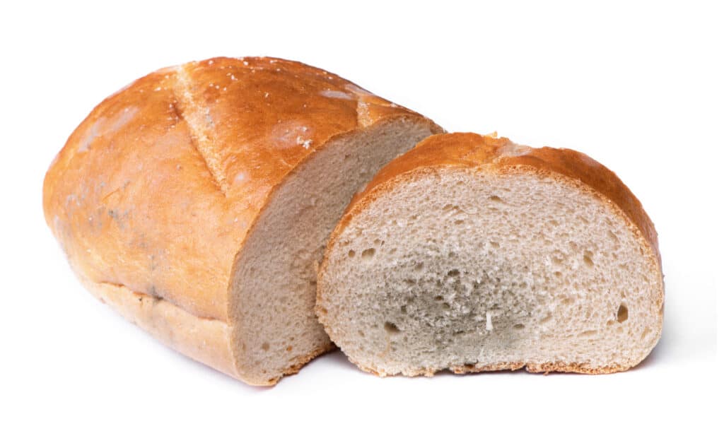 mold on bread